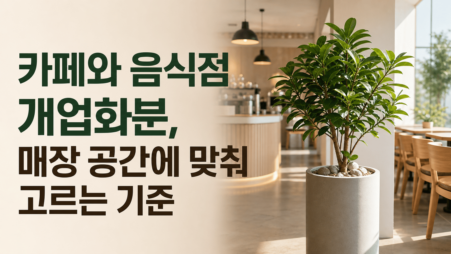 카페와 음식점 개업화분, 매장 공간에 맞춰 고르는 기준