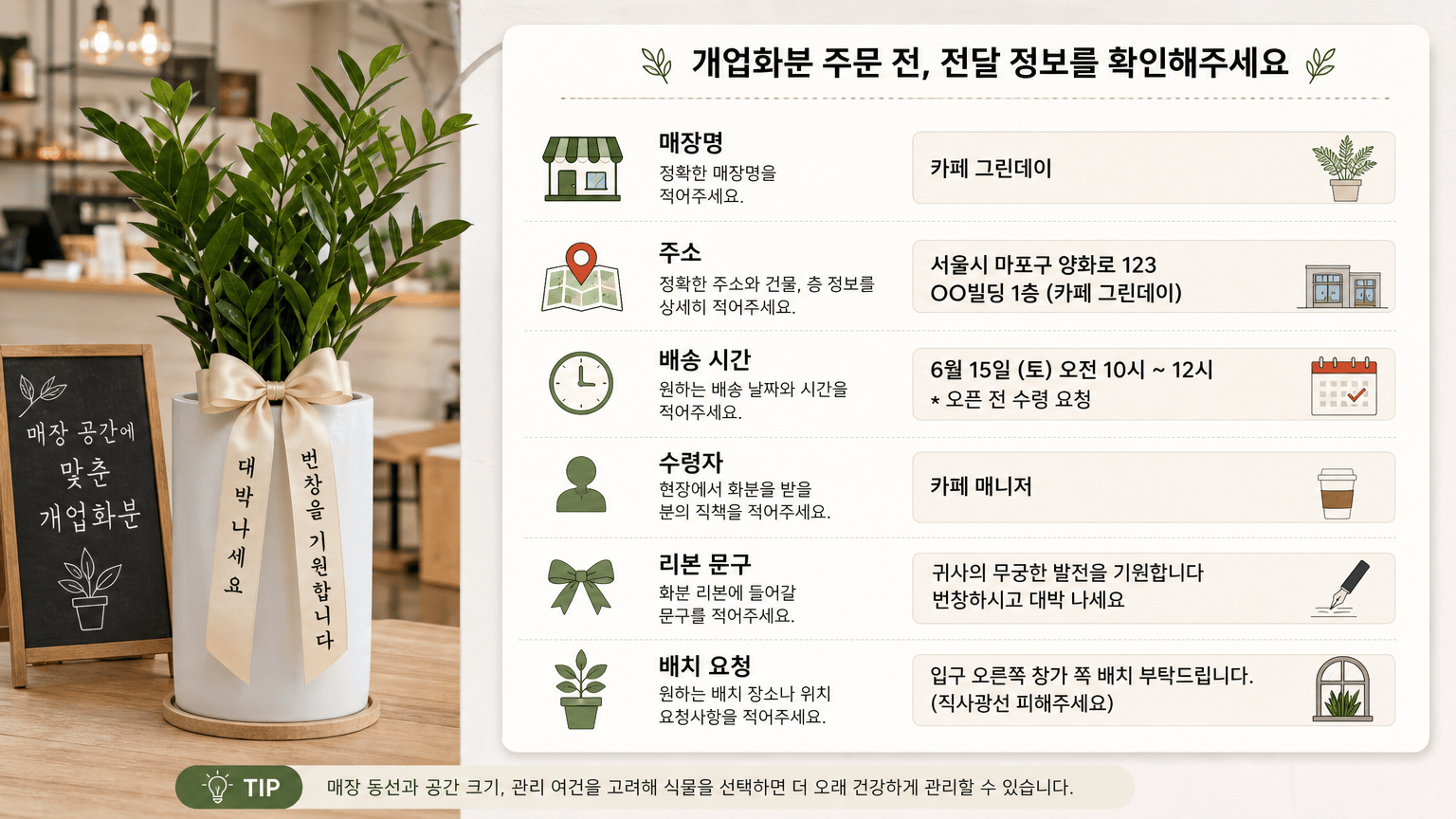 카페와 음식점 개업화분, 매장 공간에 맞춰 고르는 기준